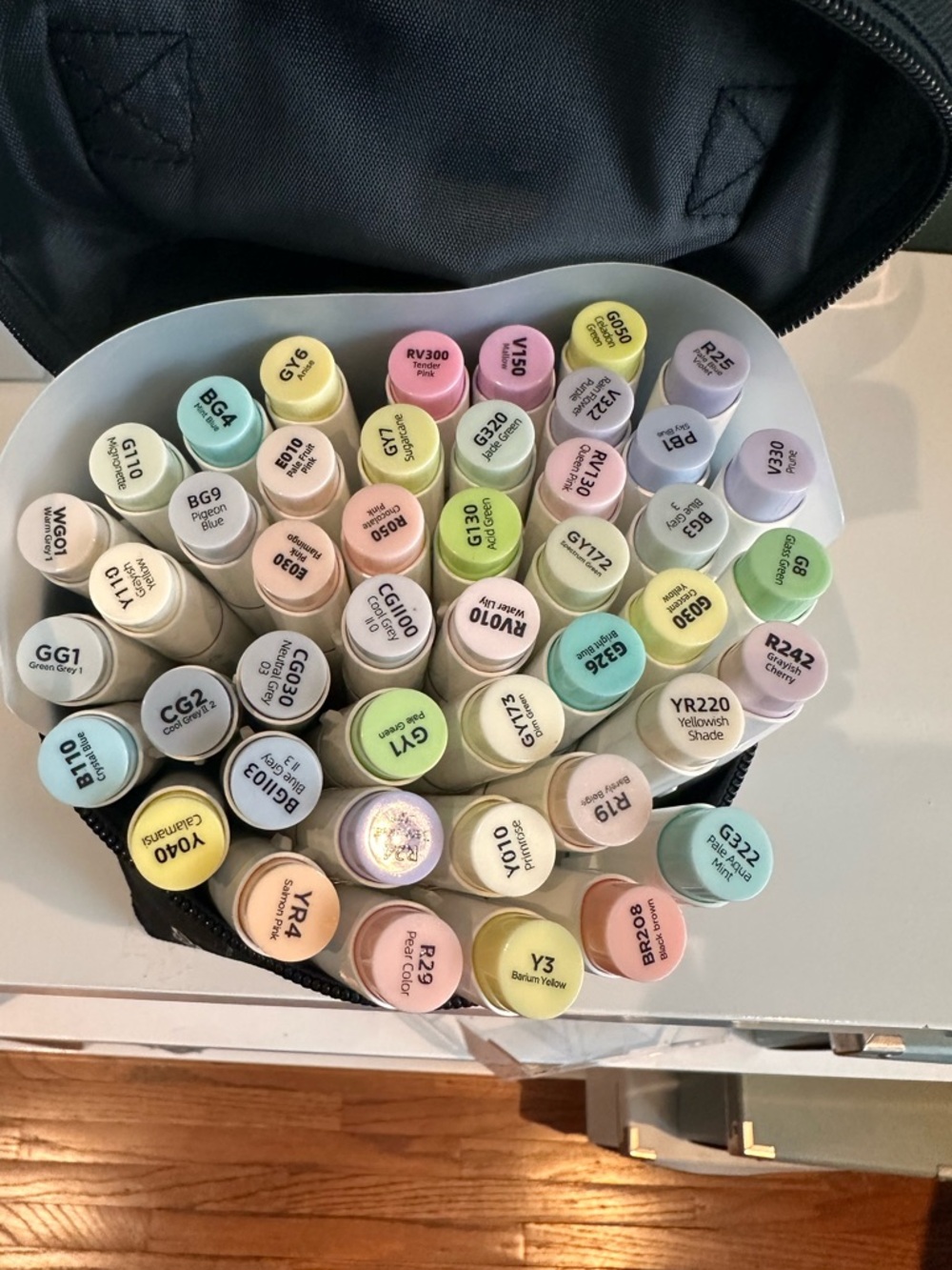 Ohuhu Honolulu Pastel 48 Black Art Marker Carrying Case